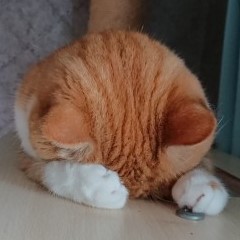 BOBのアバター